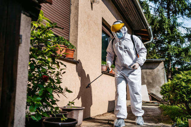 Best Insect Control  in Enigma, GA