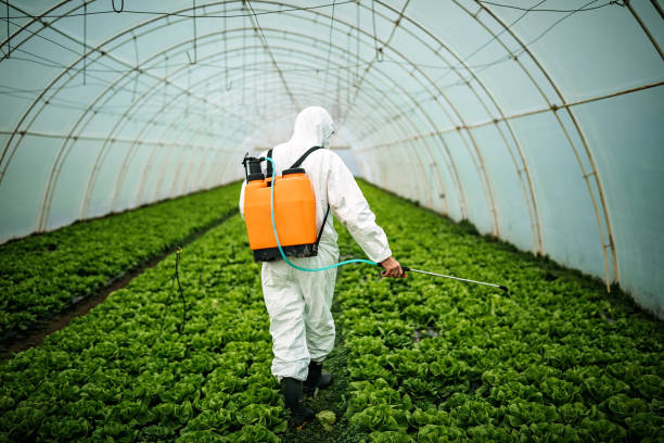 Best Pest Control for Restaurants  in Enigma, GA