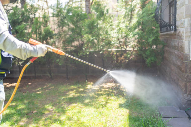 Wasp Removal Services in Enigma, GA