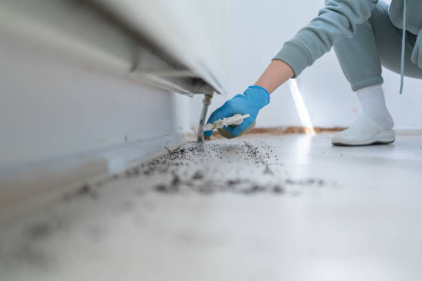 Pest Prevention Services in Enigma, GA